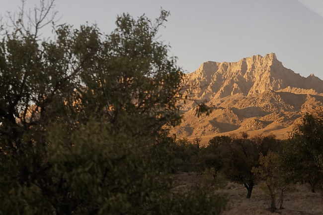 Désert de l'est-035